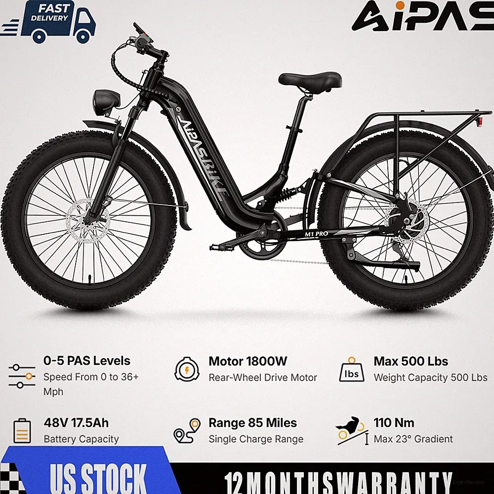 2 Speeds Electric Mountain Bike