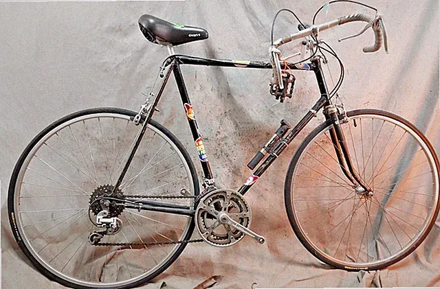 1968 Windsor Vintage Touring Road Bike 65cm XXX-Large Lugged Steel Made in Japan
