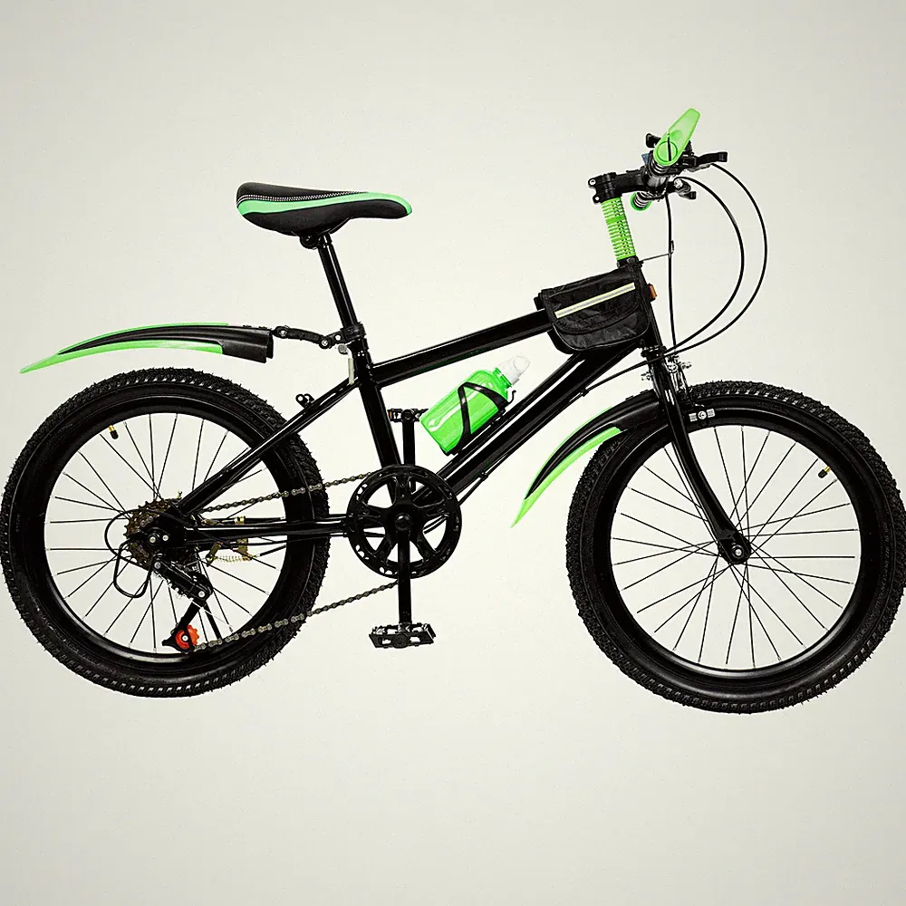 2 Speeds Mountain Bike
