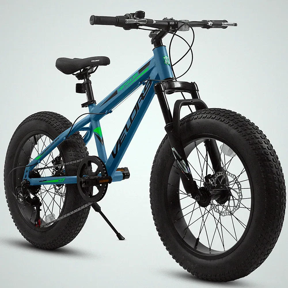 2 Speeds Fat Tire Bike