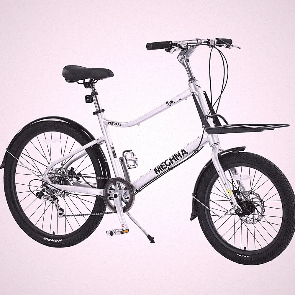 2 Speeds Cargo Bike