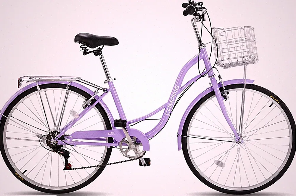 2 Speeds Comfort Bike