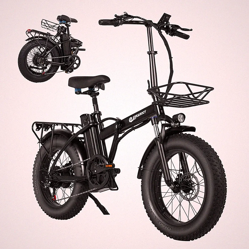 2 Speeds Electric Bike