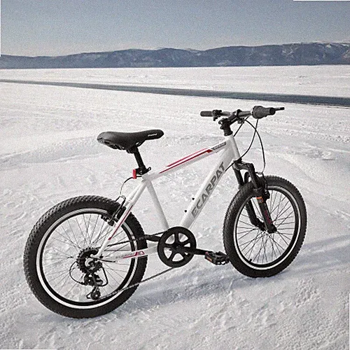 Elecony 20'' Kids Bicycle Montain Bike Gear Shimano 7 Speed MTB Boys Girls White