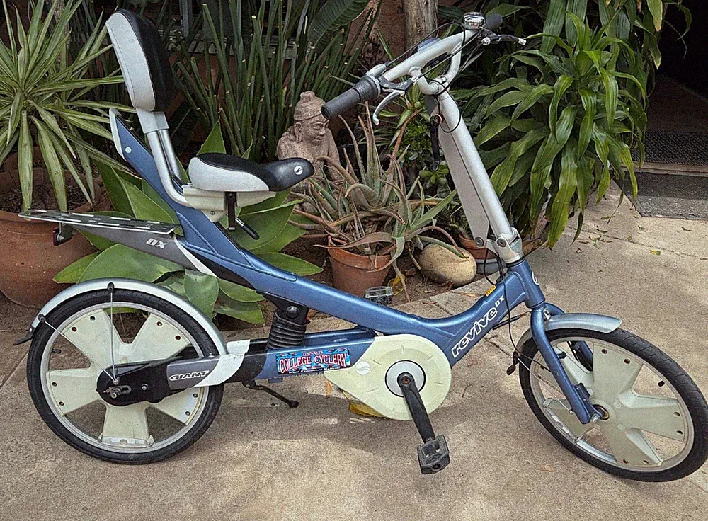 GIANT REVIVE DX Semi Recumbent Bicycle Great Condition Pro Tuned!