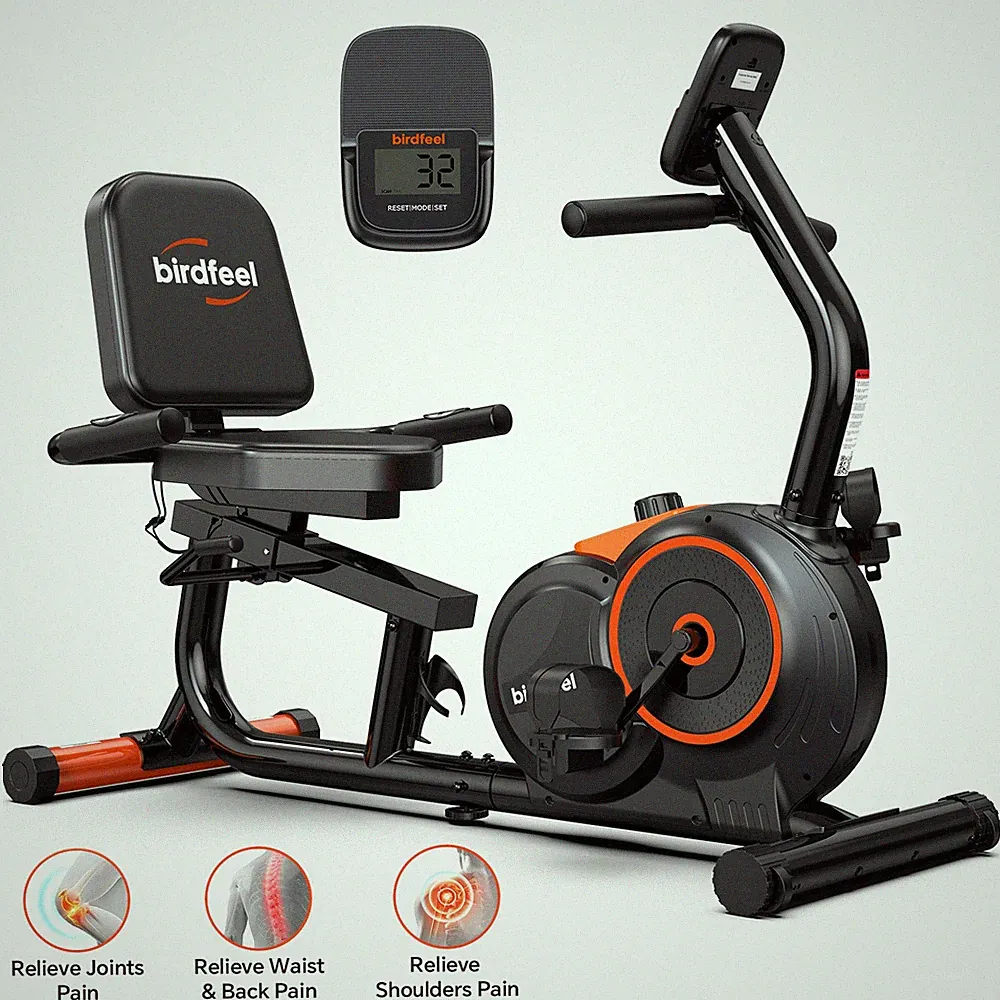 2 Speeds Recumbent Bike