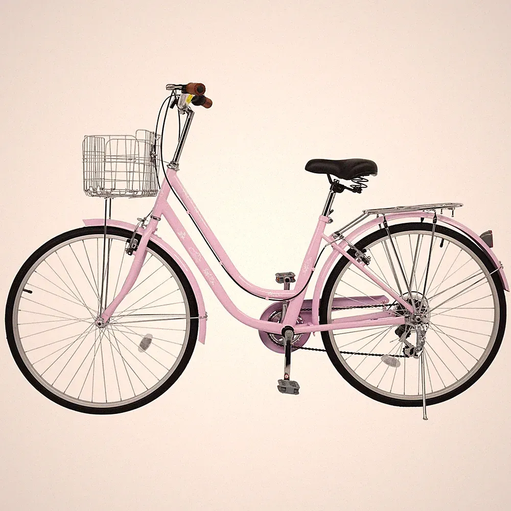 2 Speeds Commuter Bike